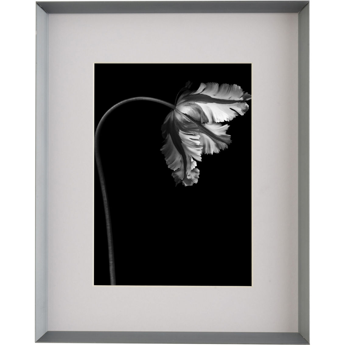 Mikasa Silver Metal Portrait 8 x 10 in. Frame Matted to 5 x 7 in. - Image 2 of 5