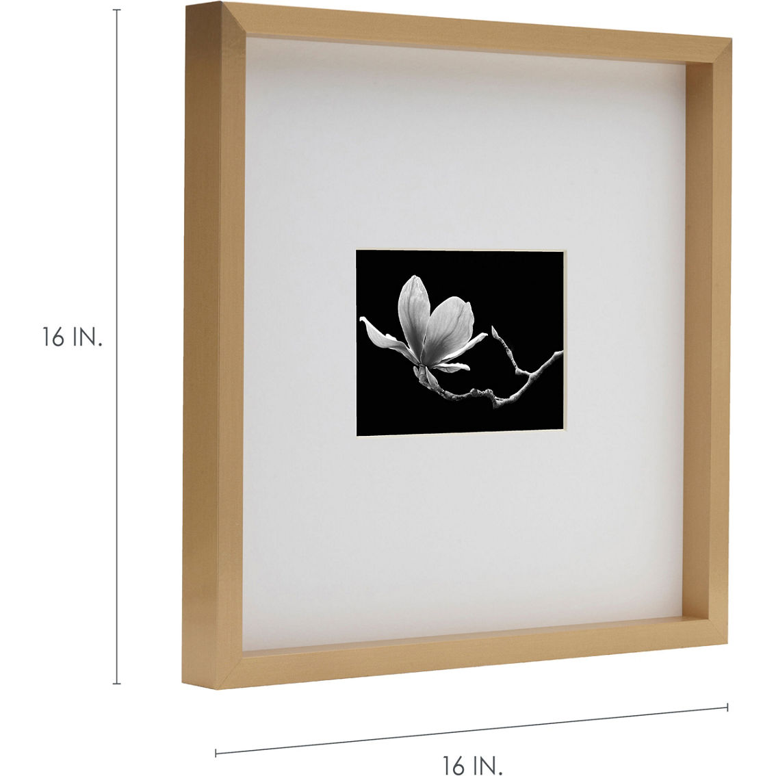Mikasa Black Gallery 15 x 15 in. Frame Matted to 5 x 7 in. - Image 3 of 5
