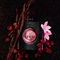 Yves Saint Laurent for Women Black Opium Eau de Parfum 3 pc. Set - Image 2 of 3