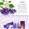 Lovery Home Spa Gift Baskets - Lavender & Jasmine Home Spa - 8pc Set - Image 3 of 5